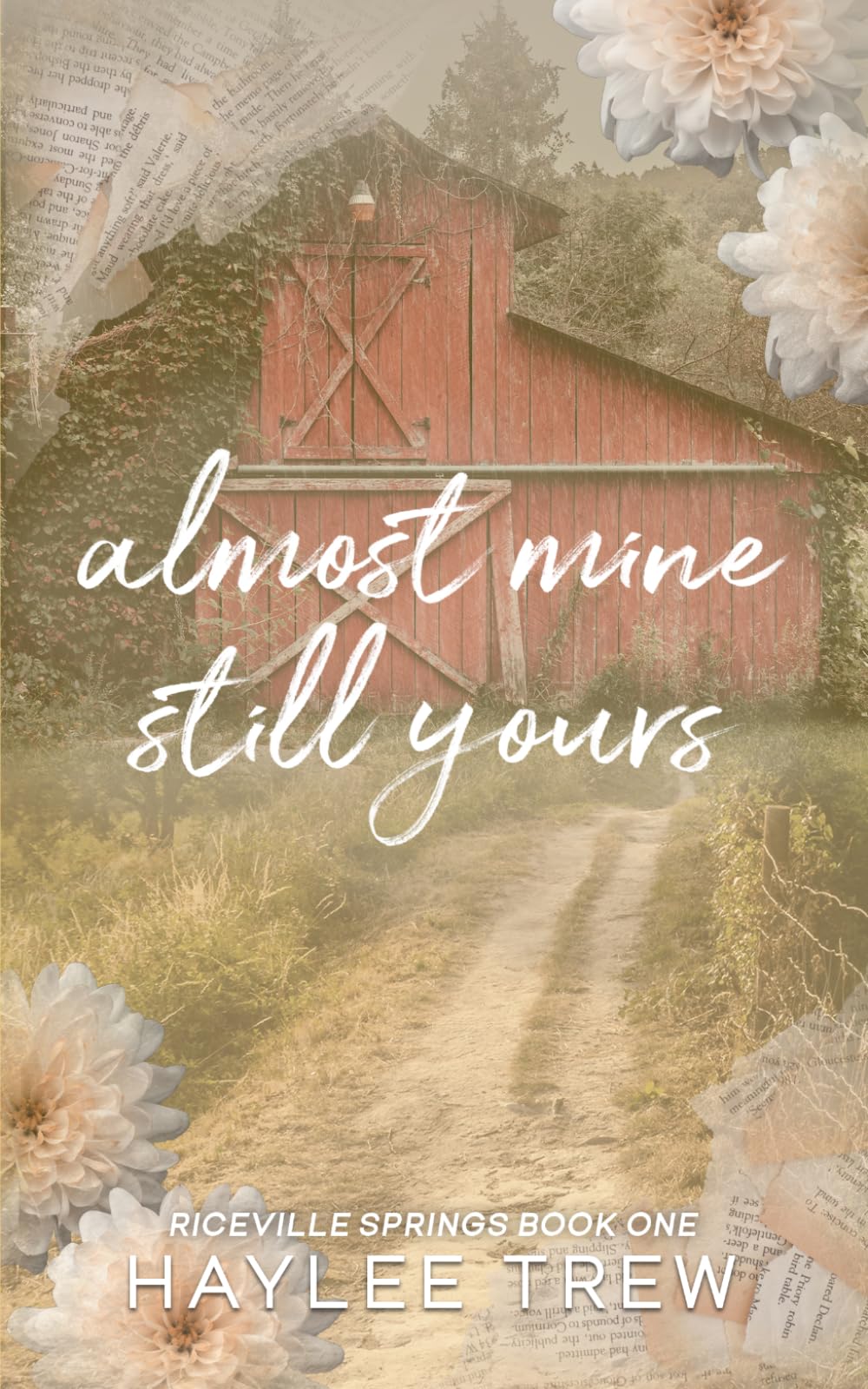 Almost Mine Still Yours (The Riceville Springs Series)