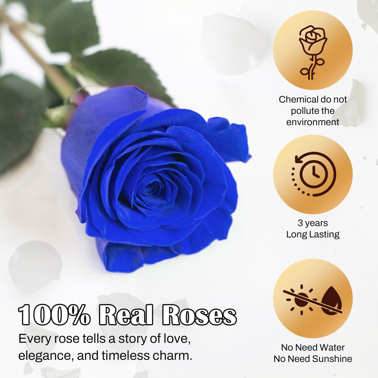 Forever Real Roses Blue Rose Forever And Always Infinity Blue Roses In A Black Box