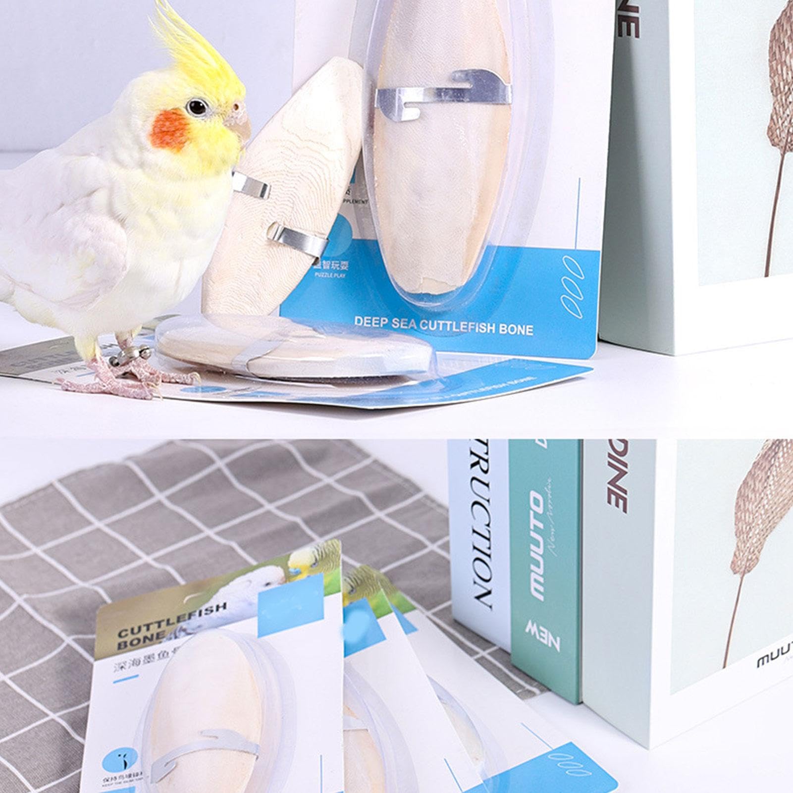 Tintenfischknochen 10er-Pack Für Vögel & Kleintiere | Natürliche Kalziumquelle Für Papageien, Hamster, Schildkröten | Kau-Spielzeug & Nahrungsergänzung