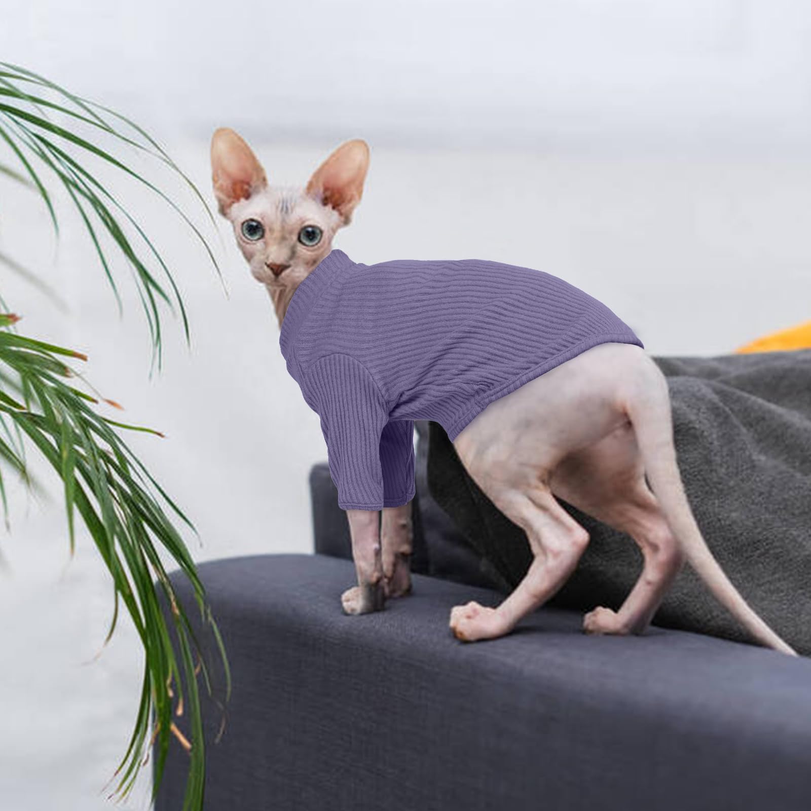 Hairless Cat Sweater, Sphynx Cat Clothes, Kitten Clothes, Breathable Sweaters Cats, Kitten Pullover Sleeves, Cat Jumpers Cats Only, Cat Clothes Sphynx, Cornish Rex, Devon Rex, TaroPurple — view 5