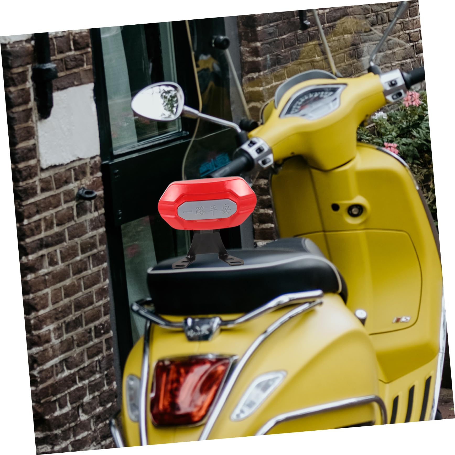 Cuscino Schienale per Bicicletta Elettrica e Moto, Rosso | Metallo e Plastica, 1 Pezzo, Stabile, Texture Robusta per Uso Posteriore