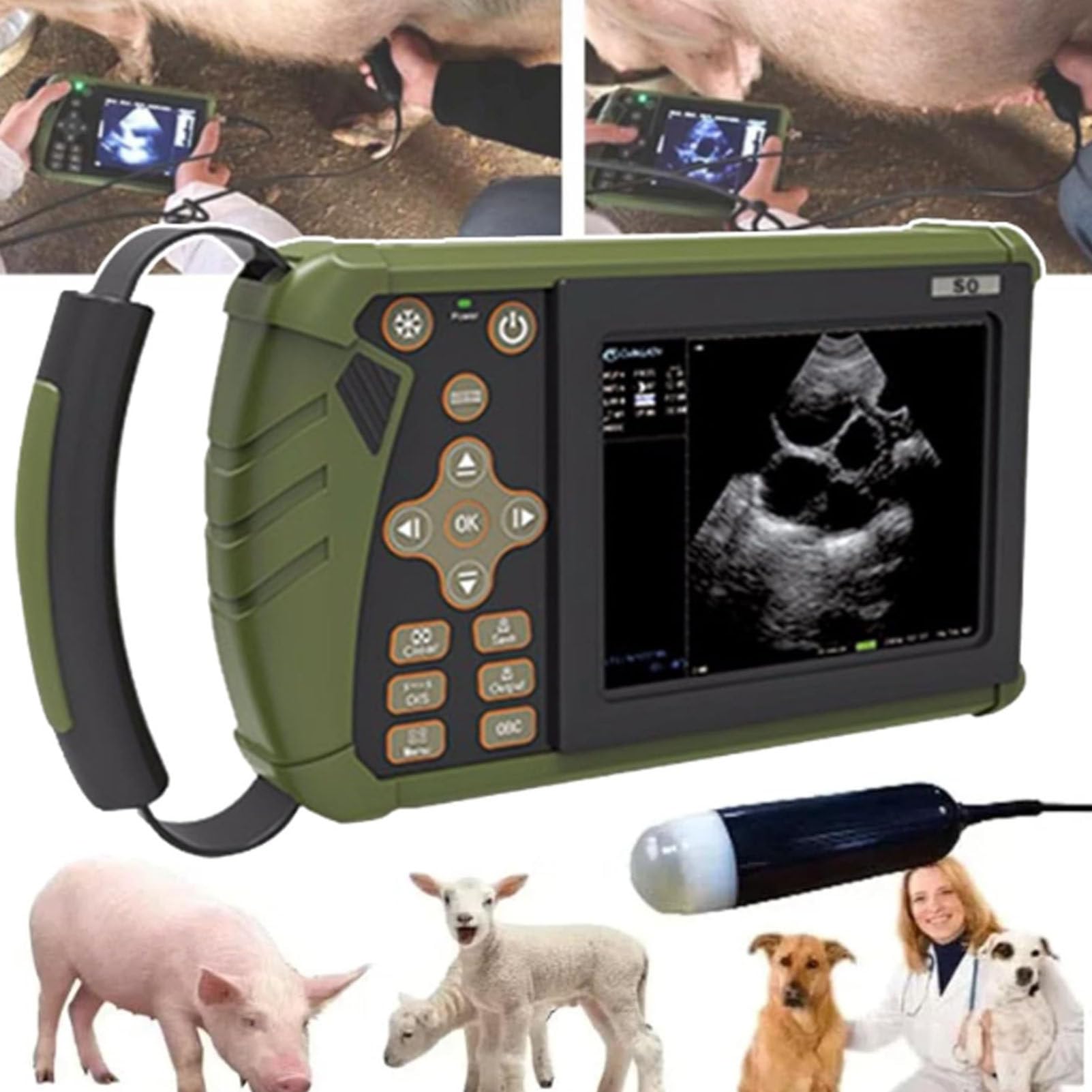 Ecografo Veterinario Professionale, Scanner Veterinario Portatile B-Ultra Sound con sonda da 3,5 MHz per Uso su suini, Pecore, capre, Cani, Controllo della Gravidanza e della Riproduzione