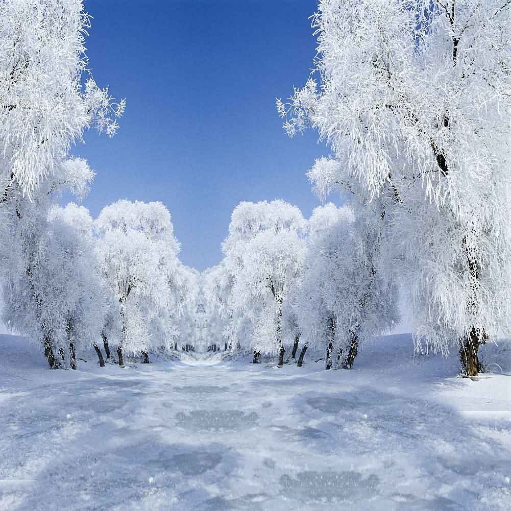 Nice And Beautiful Winter Wallpapers And Theme For Windows