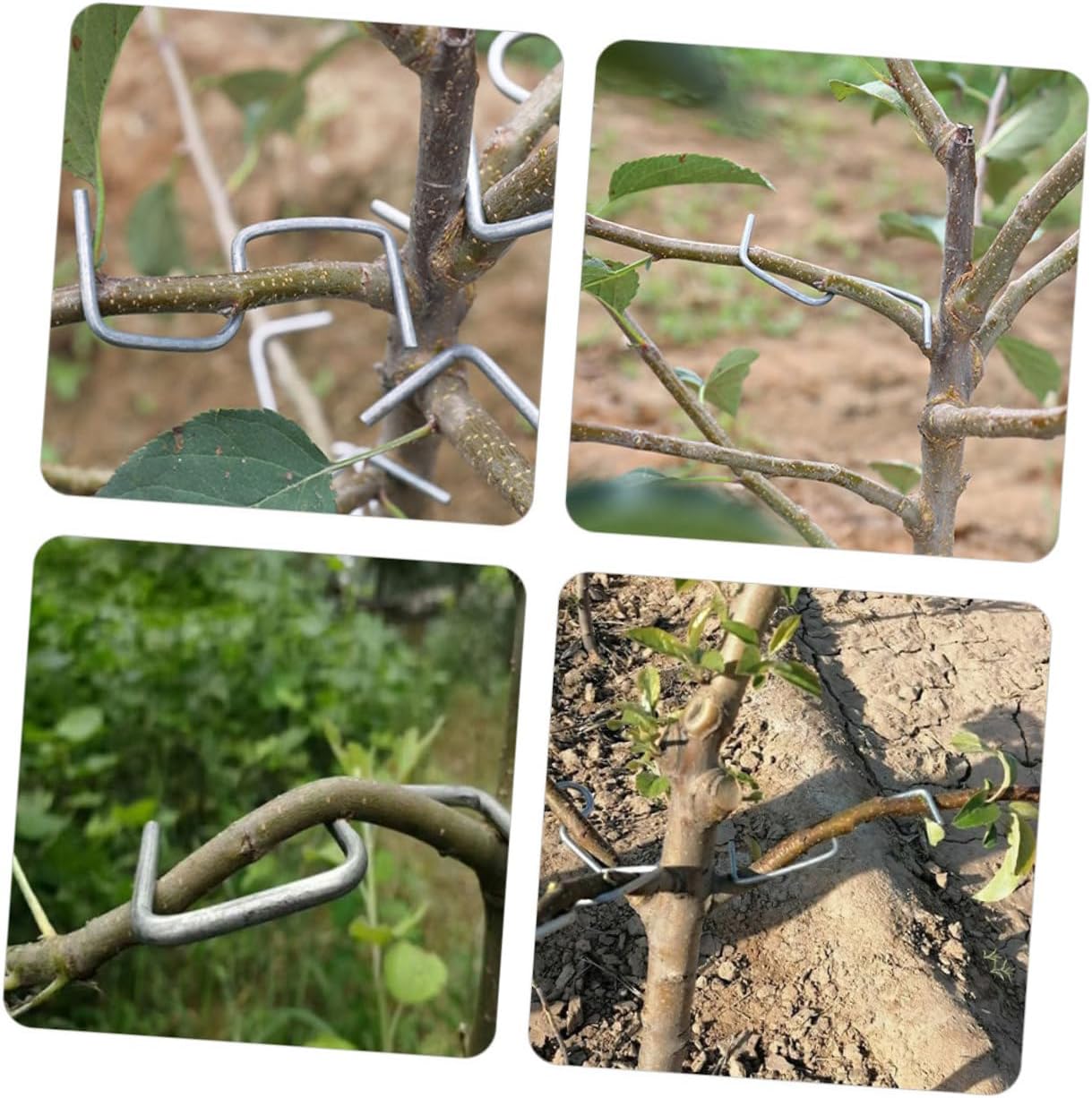 1set Tree Puller for Gardening Tie Stick Shaper Branch Bending Clips for Plant Training and Shaping