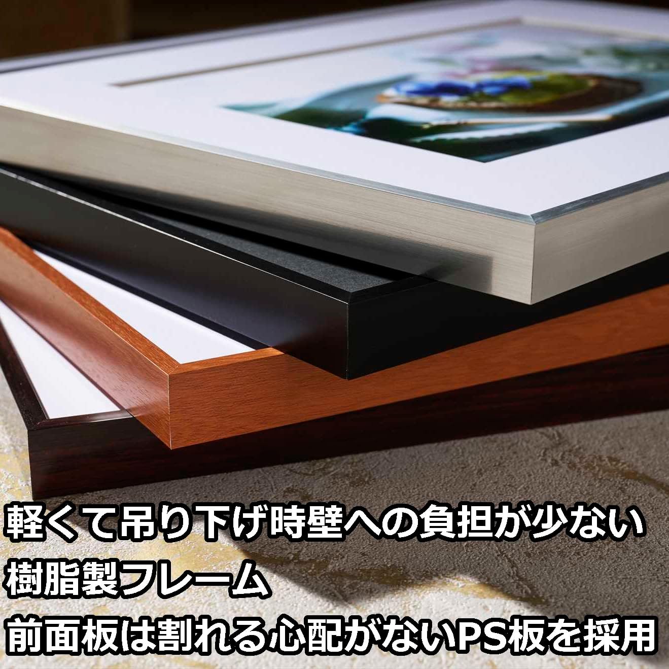 HAKUBA Light Weight Picture Frame Zero Frame G-01