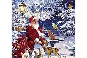 Decorative Christmas Decoupage Napkins: Set of 2 Individual Art Craft Disposable Napkins