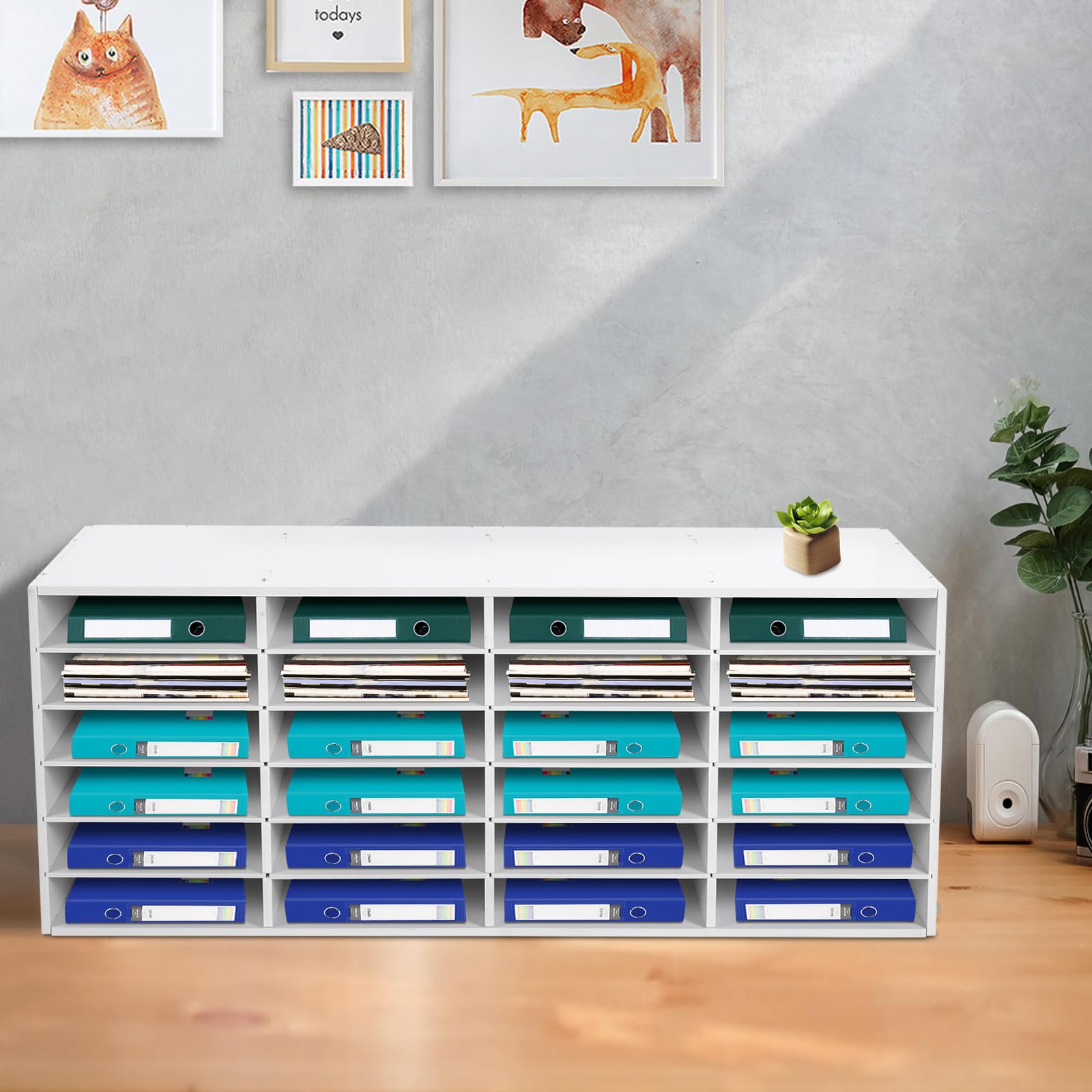 Portadocumenti, ufficio, letteratura, 24 scomparti, da scrivania, 100 x 30 x 42 cm, ripiani, sistema di archiviazione per la casa, l'ufficio (bianco, 4 x 6 scomparti)