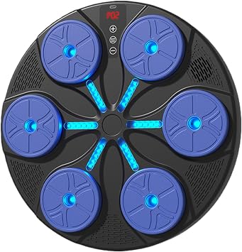 Music Boxing Machine Interactive 8 Modes Target Trainer | with RGB Light Wall Mount Music Punching Machine for Adults for Men Women Adults Home Office Gym Indoor Fitness Training