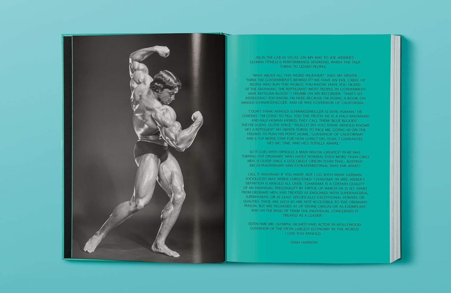 Arnold (Extra Large)