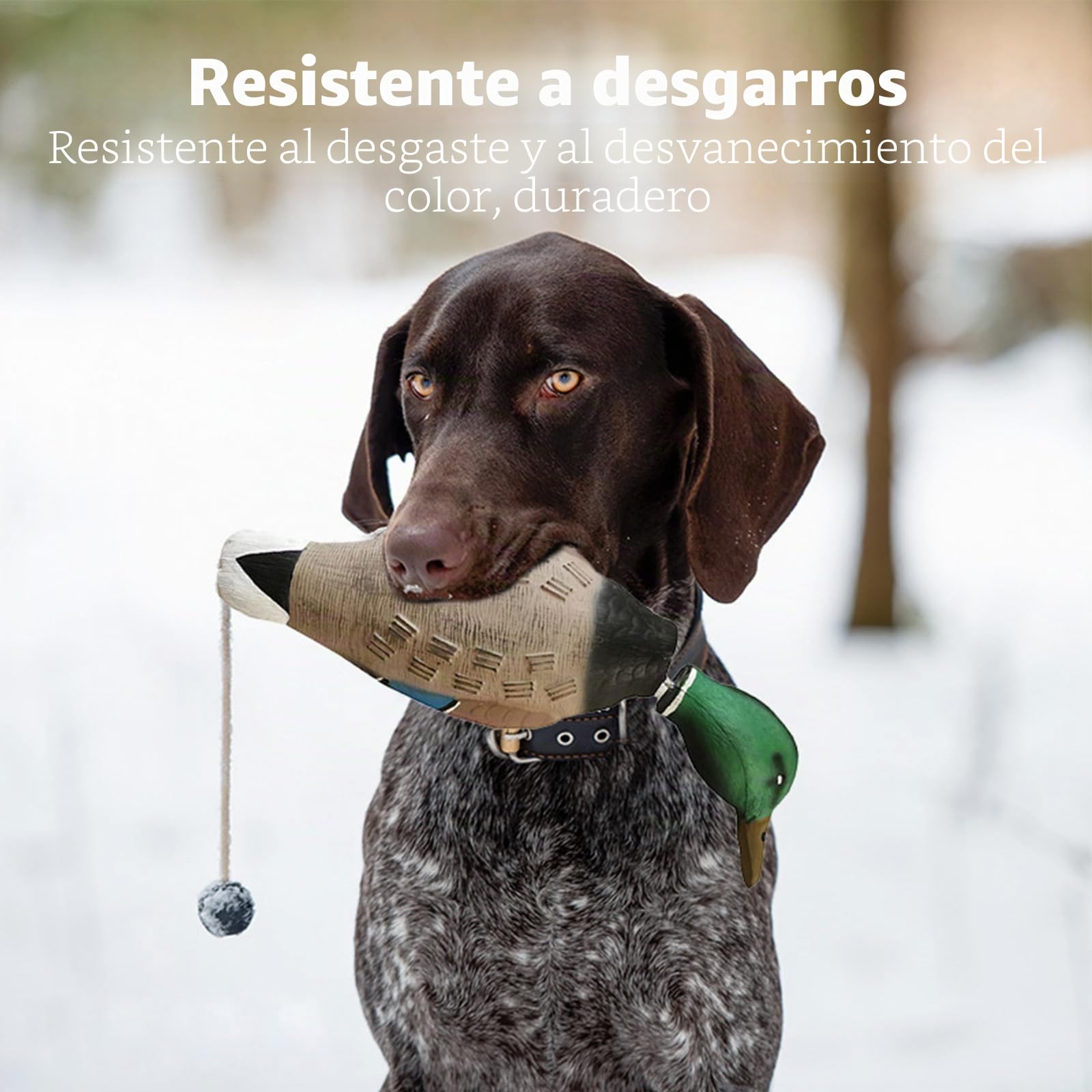 Pato Dummy Dog Training,Mordedor Perro Dummy Flotante,Parachoques de Pato Imita a un Dummy de Pato como Juguete para el Entrenamiento de Cachorros o Perros de Caza Adultos
