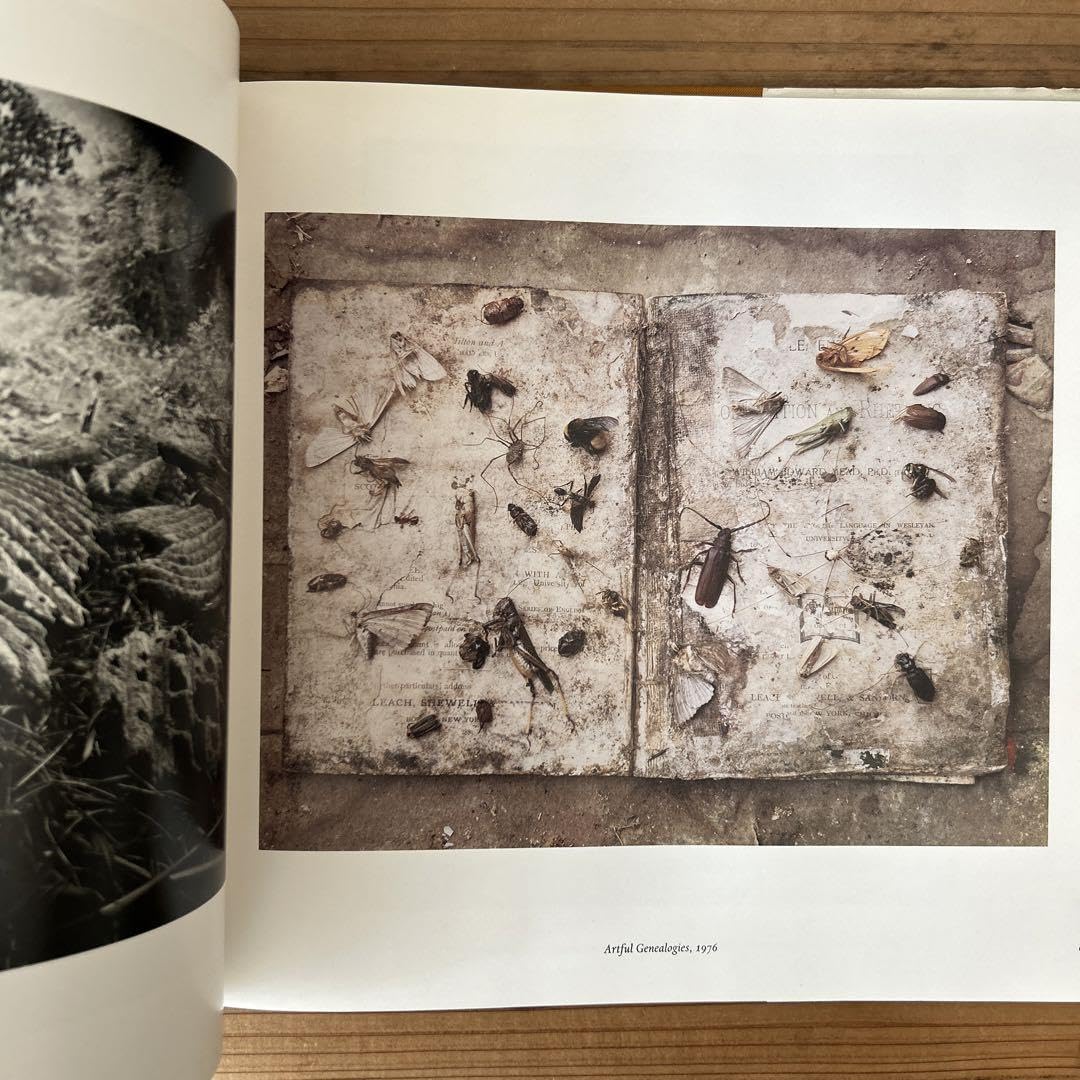 Amazon.co.jp: Emmet Gowin Photographs エメットゴーウィン : ホーム