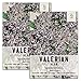 Seed Needs, Common Valerian (Valeriana officinalis) Twin Pack of 450 Seeds Each Non-GMO