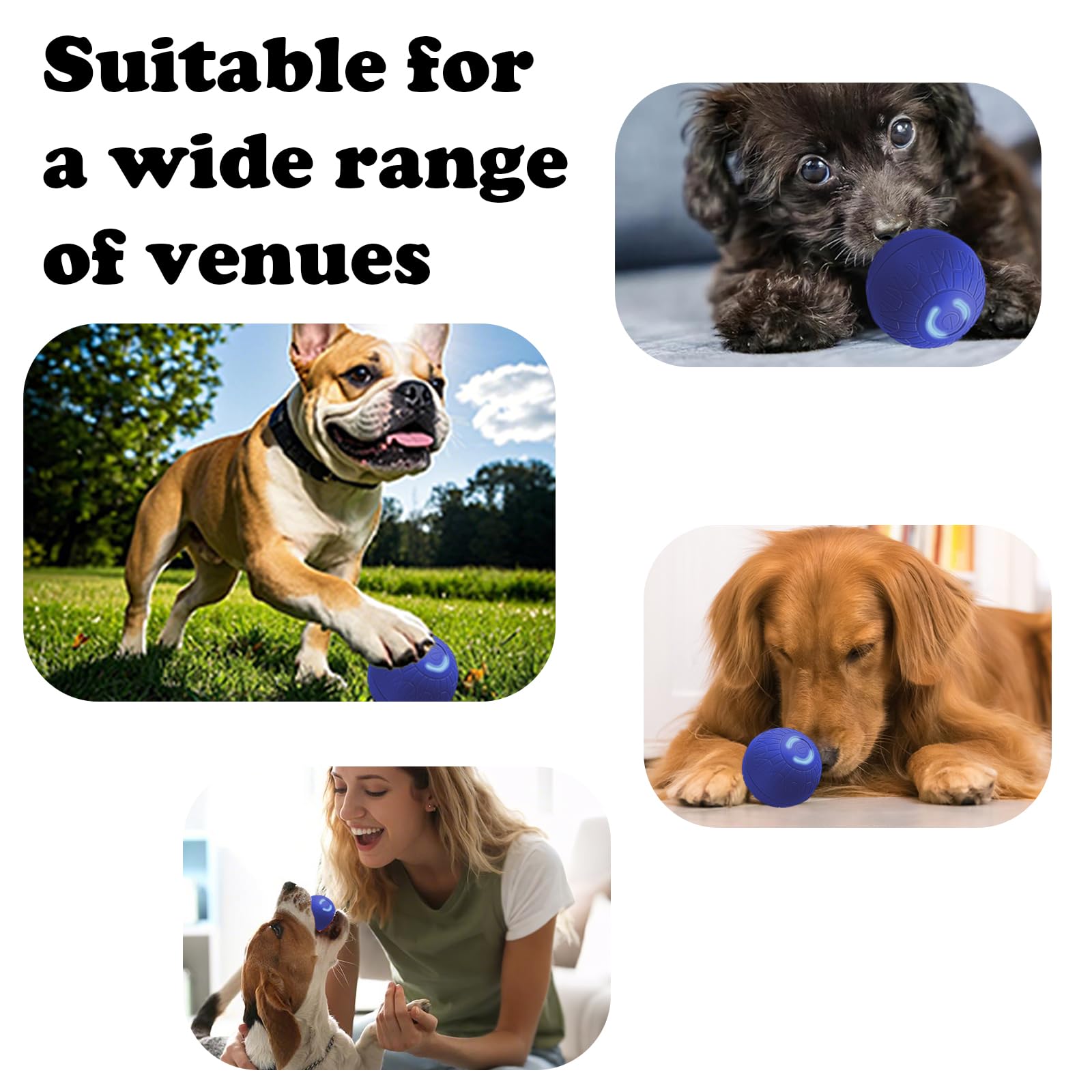Duraspin Balle interactive pour chien, auto-rebondissante, vibrante et enroulable, arrêt automatique, jouet pour chiens de taille moyenne/grande (S, bleu)