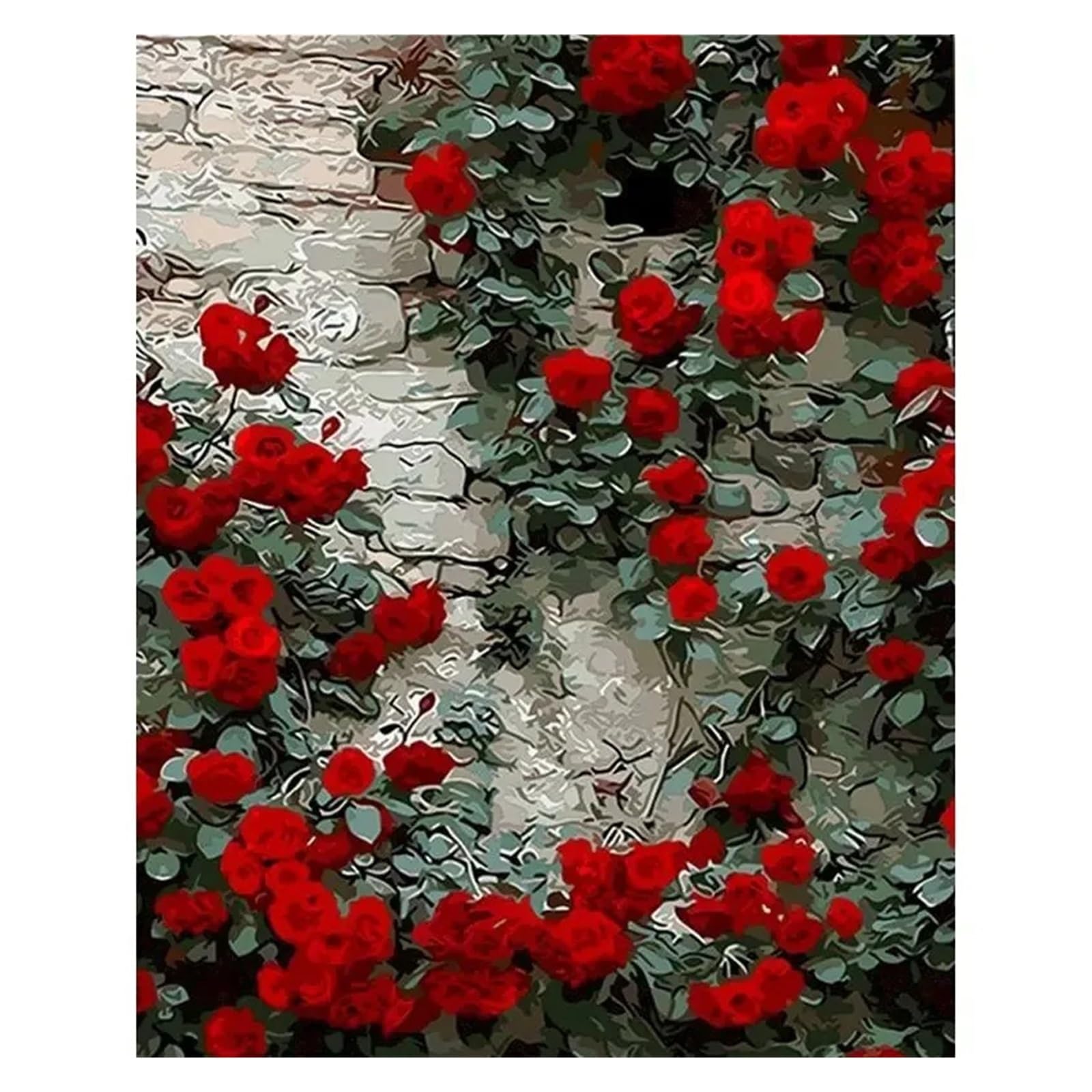 Peinture par Numéro Rose Rouge 40x50cm, un Cadeau Unique et Créatif