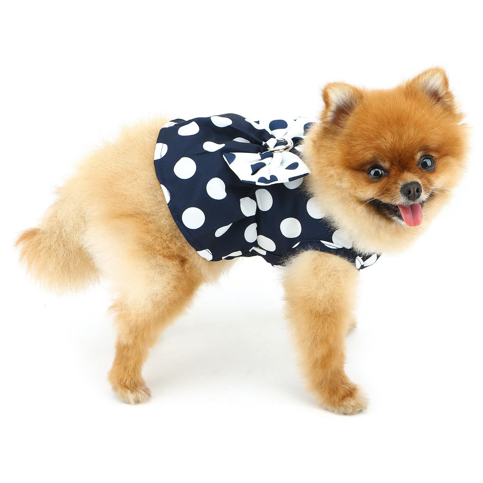 PAIDEFUL Dog Harness Dress,Retro Bow Princess Dresses for Small Dogs Cats Fashion Polka Dot Puppy Pleated Skirt Soft Lightweight Doggy Sundress Button up Chihuahua Clothes Costume D-ring,Blue,M - Image 2
