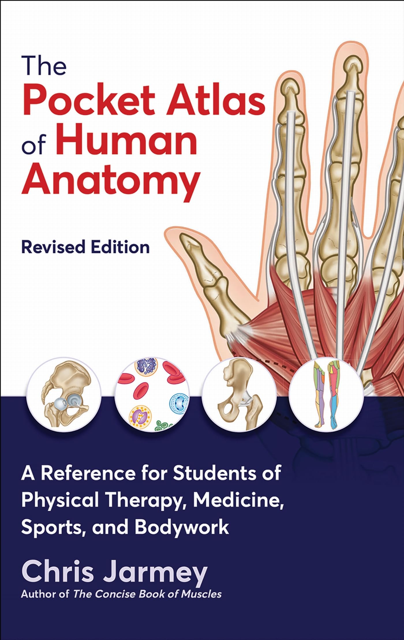 The Pocket Atlas of Human Anatomy: A Reference for Students of Physical Therapy, Medicine, Sports, and Bodywork
