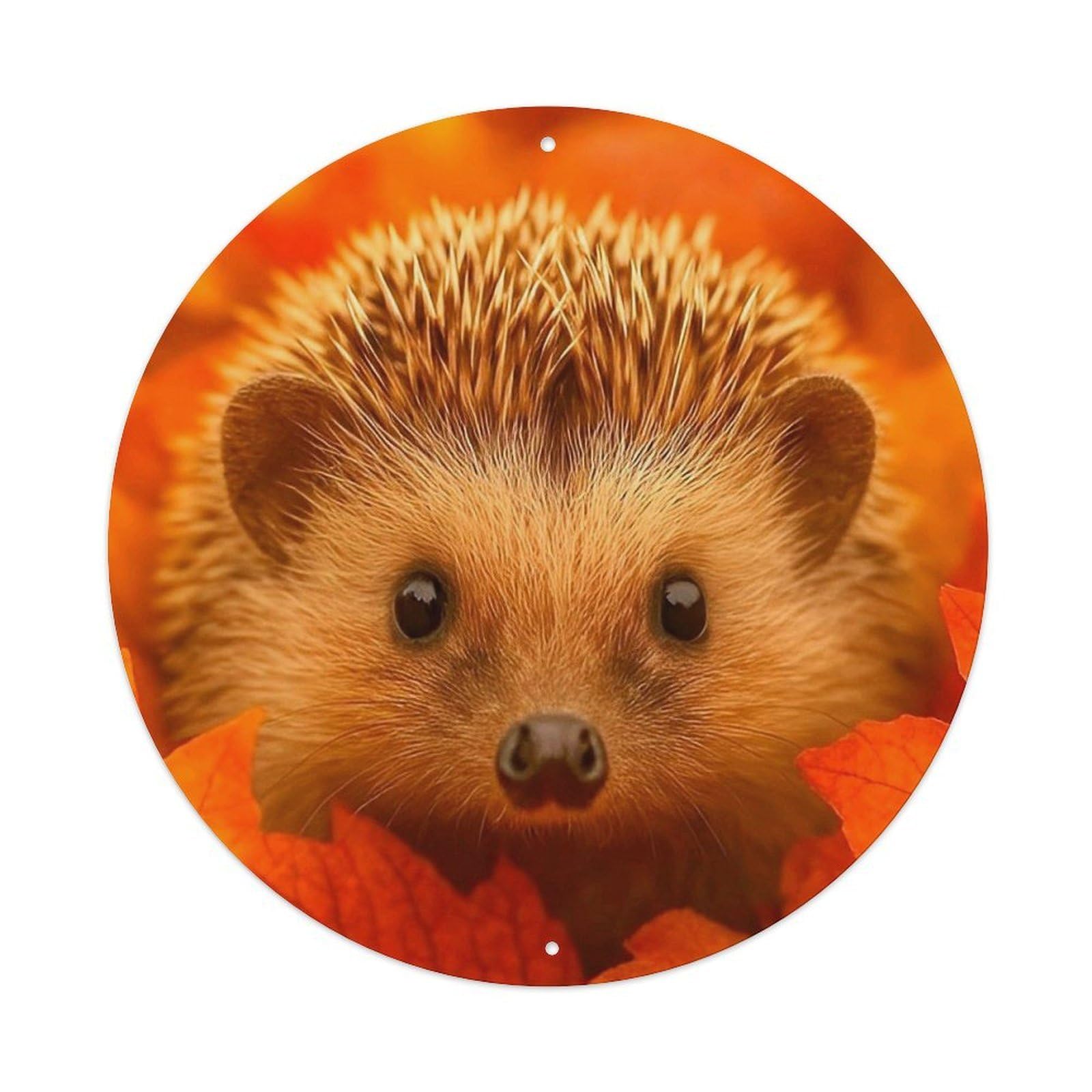 Animal European Hedgehog in Autumn Maple Leaves Nature Wildlife Vintage Metal Tin Sign Plaque Wall Decor for Cafe, Club Bar, Office, Garden Metal Poster 8x8Inch
