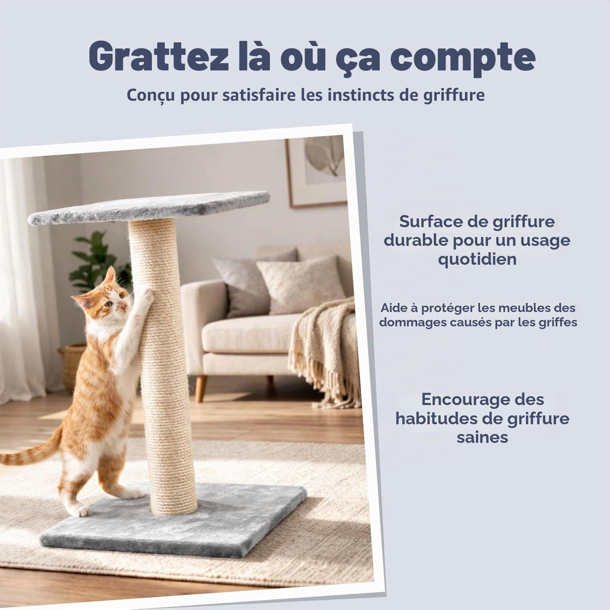Trixie Arbre à Chat Espejo Gris Platinium 69 cm