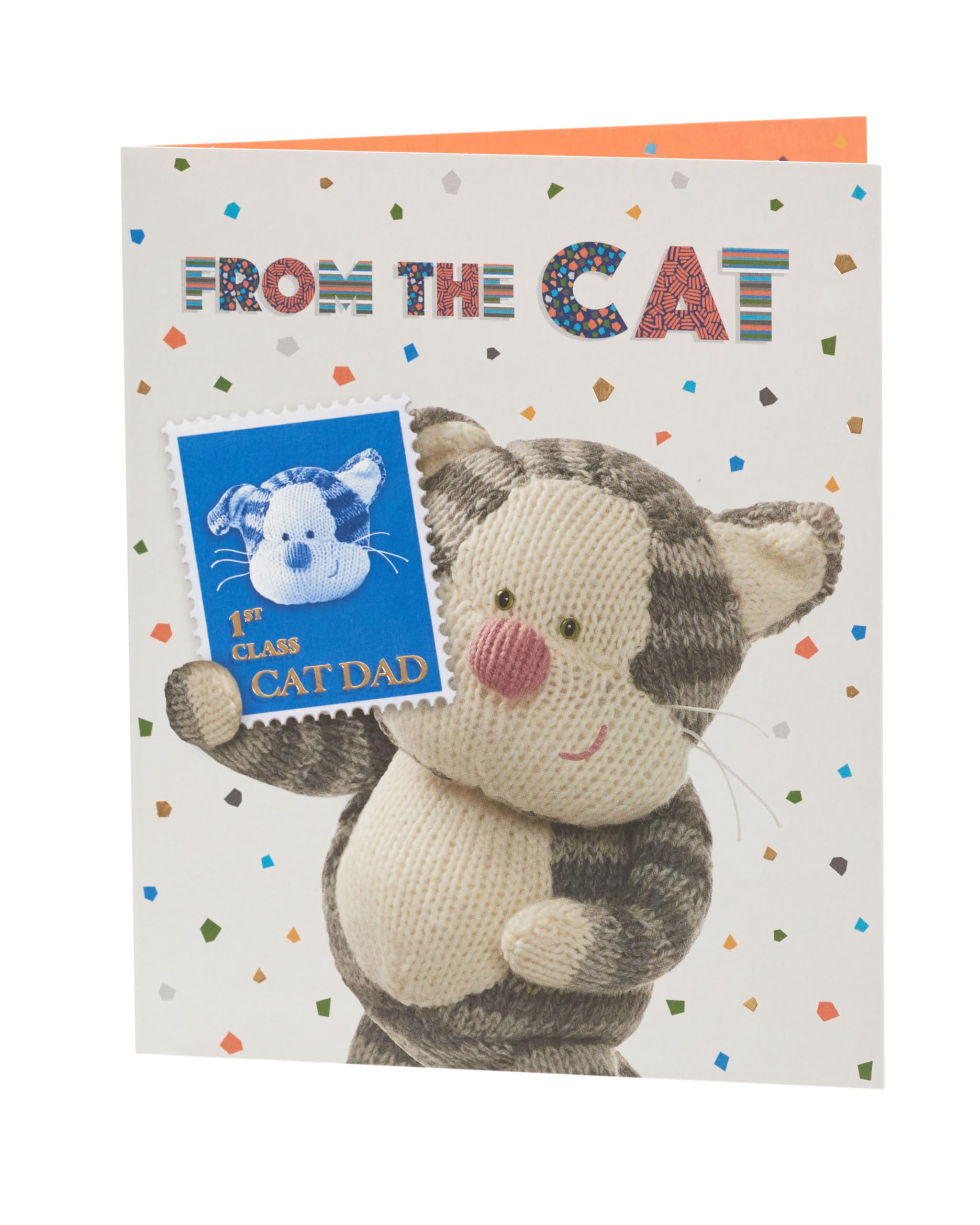 Boofle Vatertagskarte Von The Cat – Niedliches Katzen-Design, Mit Goldfolie, 15,9x18,4 Cm