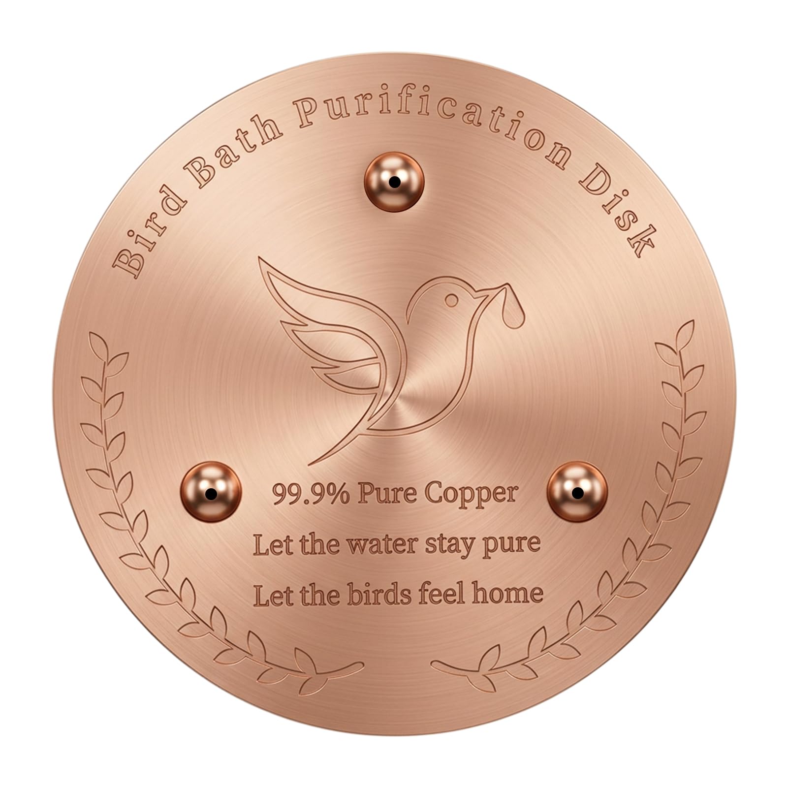 Bravien Bird Bath Copper Disk, 99.9% Pure Copper Disc for Keeps Water Fresh Year - 100mm Self-Cleaning Purification Accessory for Outdoor Garden Bird Baths and Water Features, Round