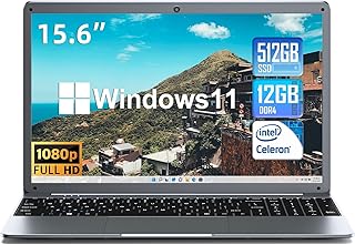 SGIN Laptop 12GB RAM 512GB SSD, 15.6 Inch Laptops with Intel Celeron Quad-Core Processor(up to 2.9 GHz), Full HD 1080P Screen, Mini HDMI, 2.4/5.0G WiFi, Webcam, Bluetooth 4.2, Grey
