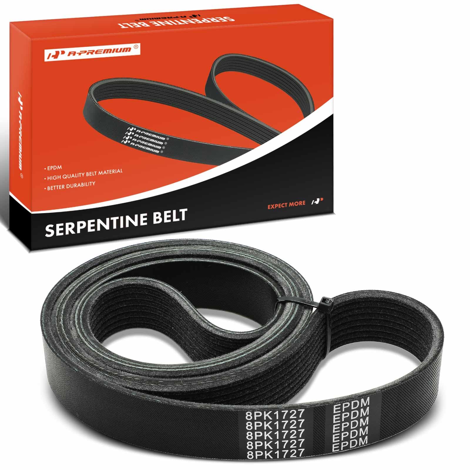 Courroie d'accessoire Freightliner FS65 FL80 FL70 FL60 2002-2005 - 8