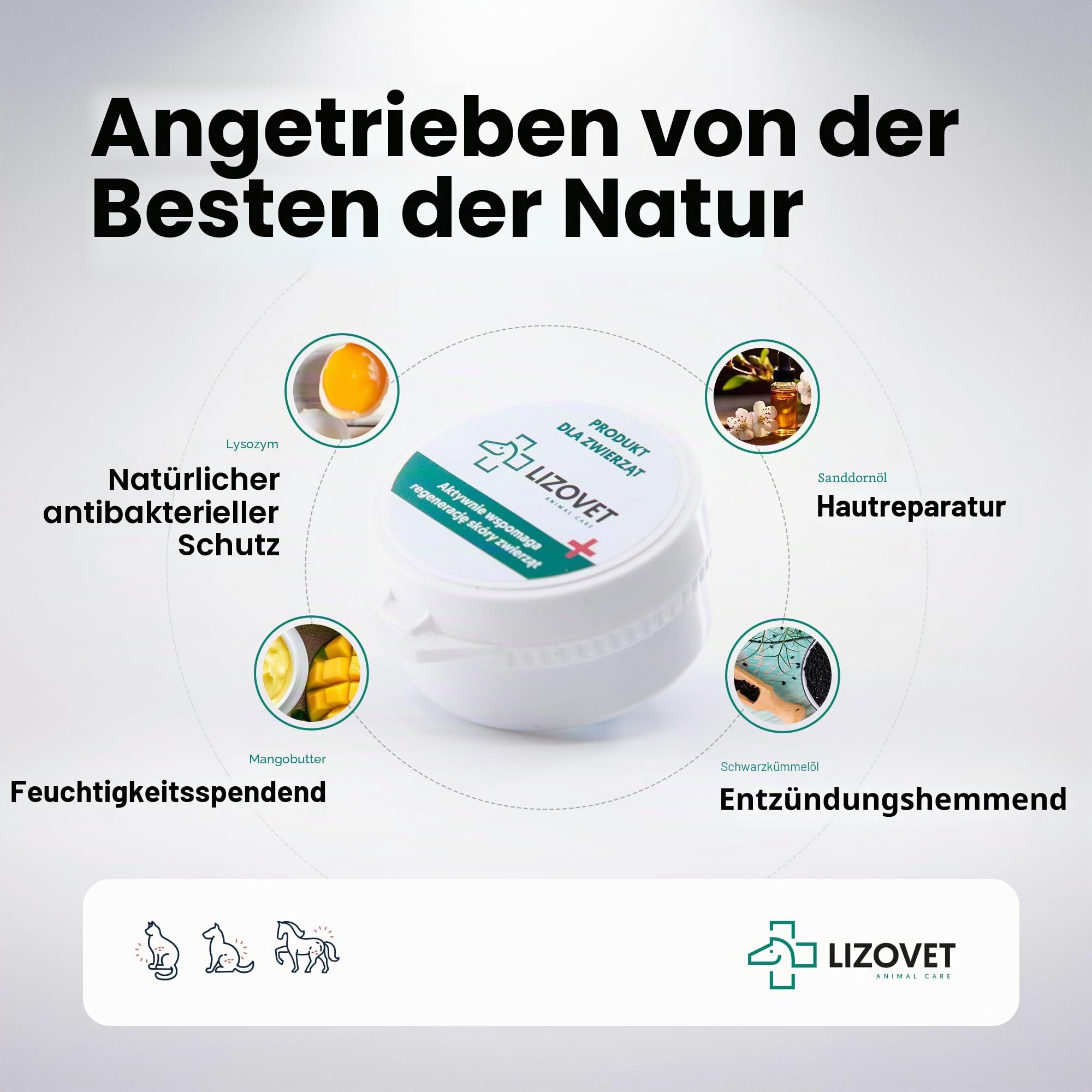 Hautpflege für Tiere, unterstützend bei der Hautregeneration, regenerationsförderndes Mittel, Salbe 40x4 ml, pflegend, antibakteriell, hydratisierend, geeignet für Pferde, Hunde und Nutztiere | Antibakteriell, hydratisierend, pflegend, für Pferde, Hunde u