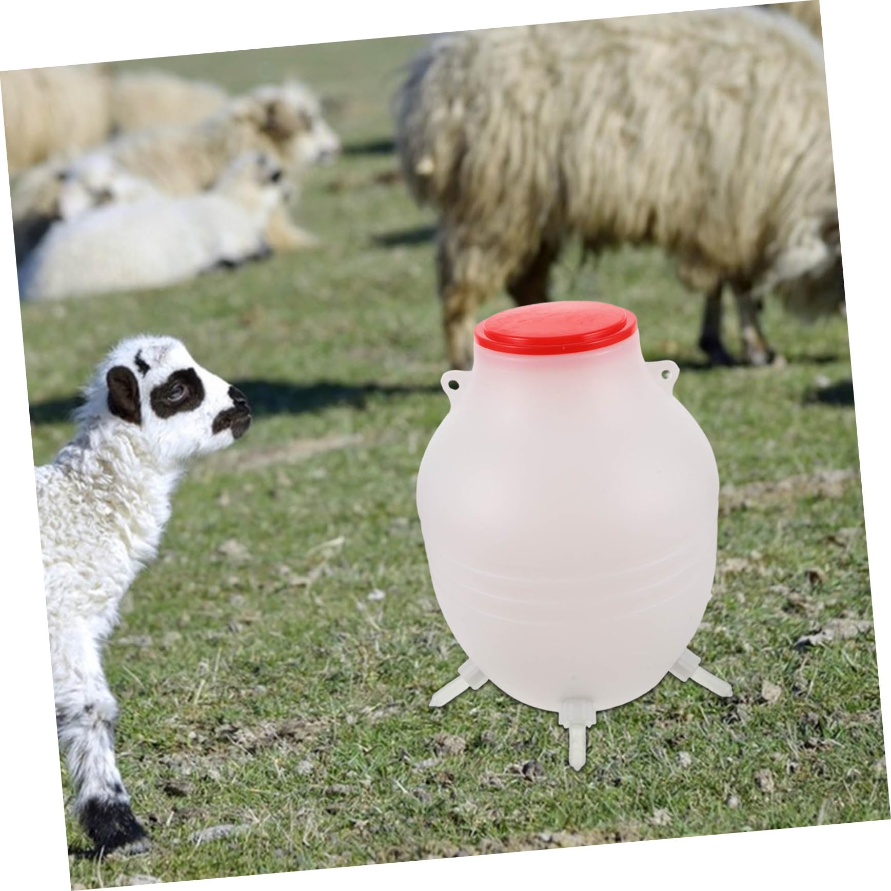 Lammmilchflasche 1 Stück aus Kunststoff, Weiß, zum Füttern