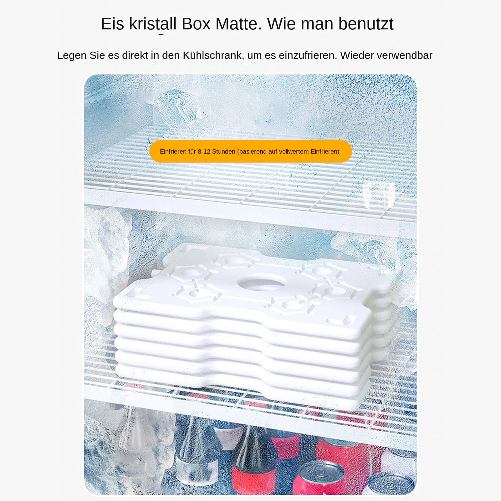 Plateau De Service Divisé Boîte Réfrigérée avec Sac de Glace pour | Plat Réutilisable à 8 Compartiments pour Randonnée, École, Fête, Déjeuner, Camping, Extérieur