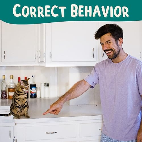 Miniatura 7 de OutdoorBengal The Click Crusade - Juego de cartas de entrenamiento para gatos con clicker para entrenamiento de mascotas con clicker, entrena a los