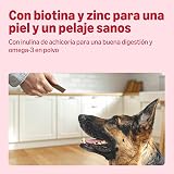 Ver la foto 3