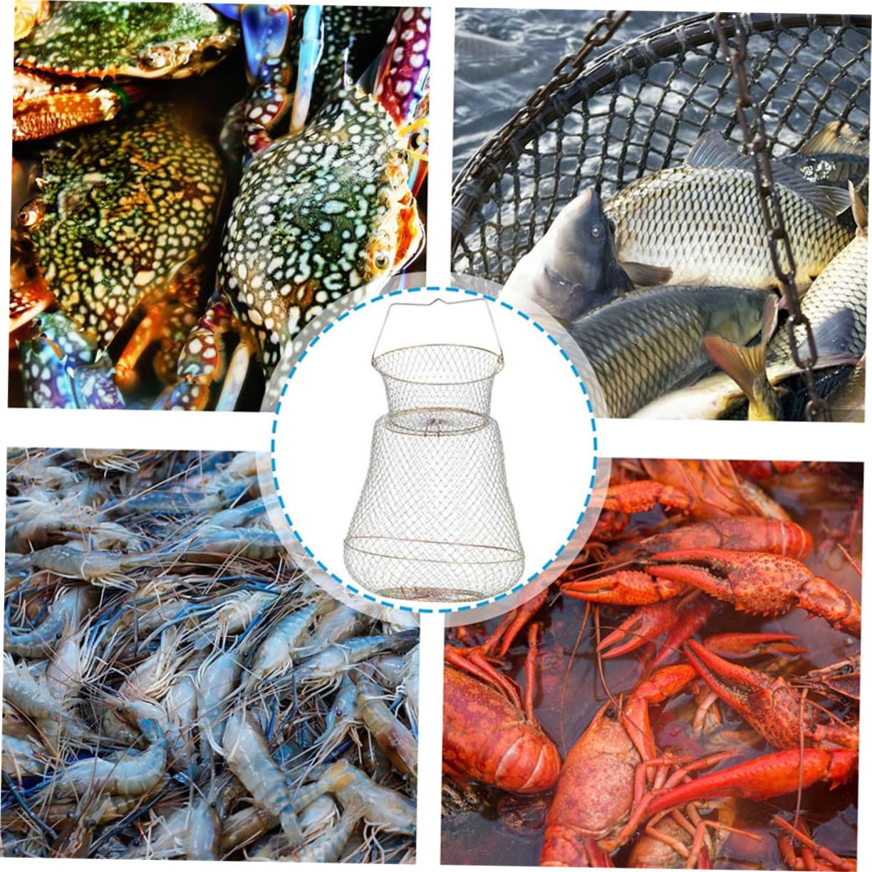 Gabbia per Pesci e Gamberetti in Filo di Acciaio Zincato Pieghevole, Cestino Portatile per Granchi e Cattura Pesci, Accessorio per Pesca Outdoor, Sicuro e Salvaspazio, Diametro 35