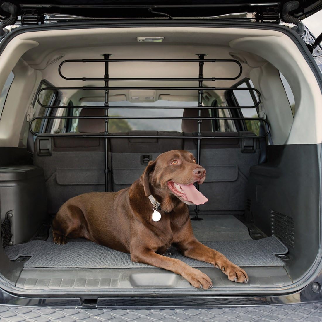 Kurgo Wander(TM) Cargo Barrier for Dogs