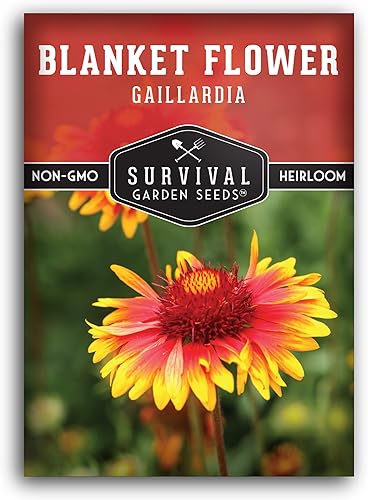Miniatura 10 de Survival Garden Seeds - Semillas de flores para plantar - Paquete con instrucciones para plantar y cultivar Gaillardia Pulchella en el huerto de tu