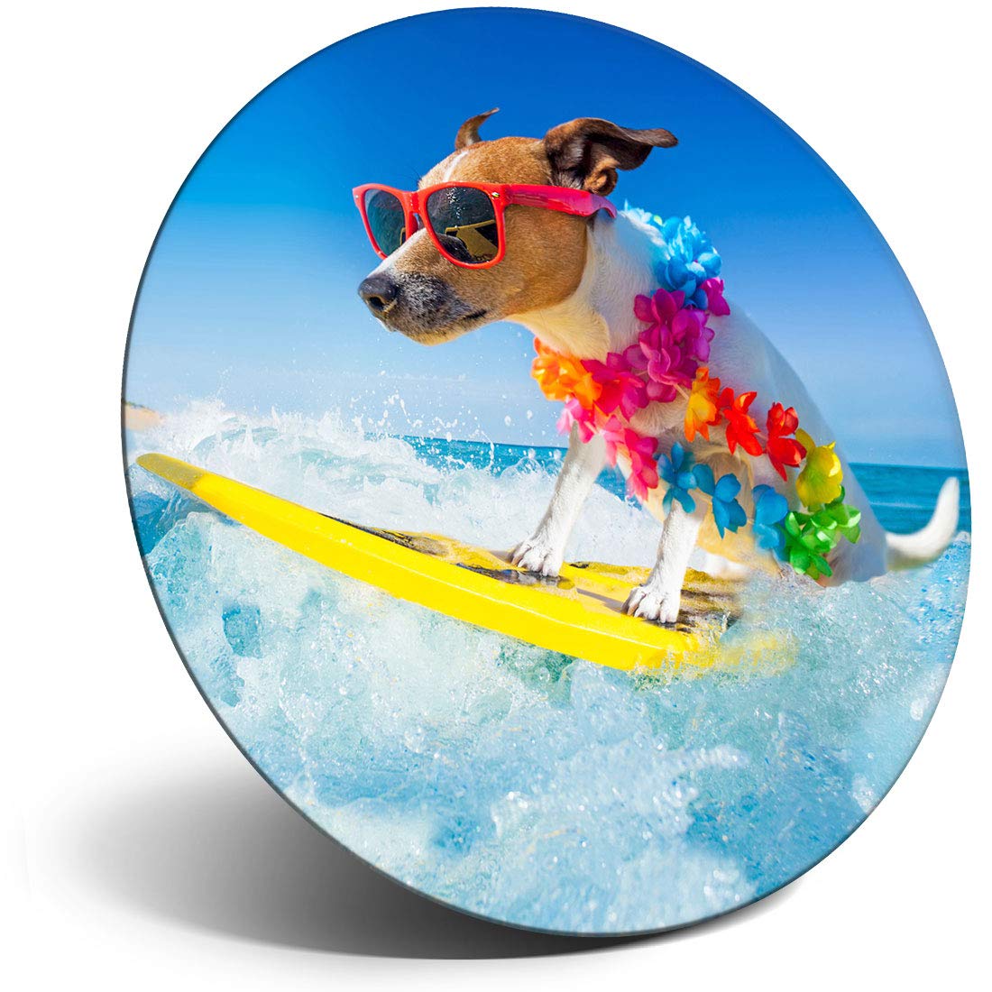 Destination Vinyl Ltd Magnet for Refrigerator, Fridge - Funny Surfing Jack Russell Dog for Office, Cabinet and Whiteboard, Magnetic Stickers, 12874