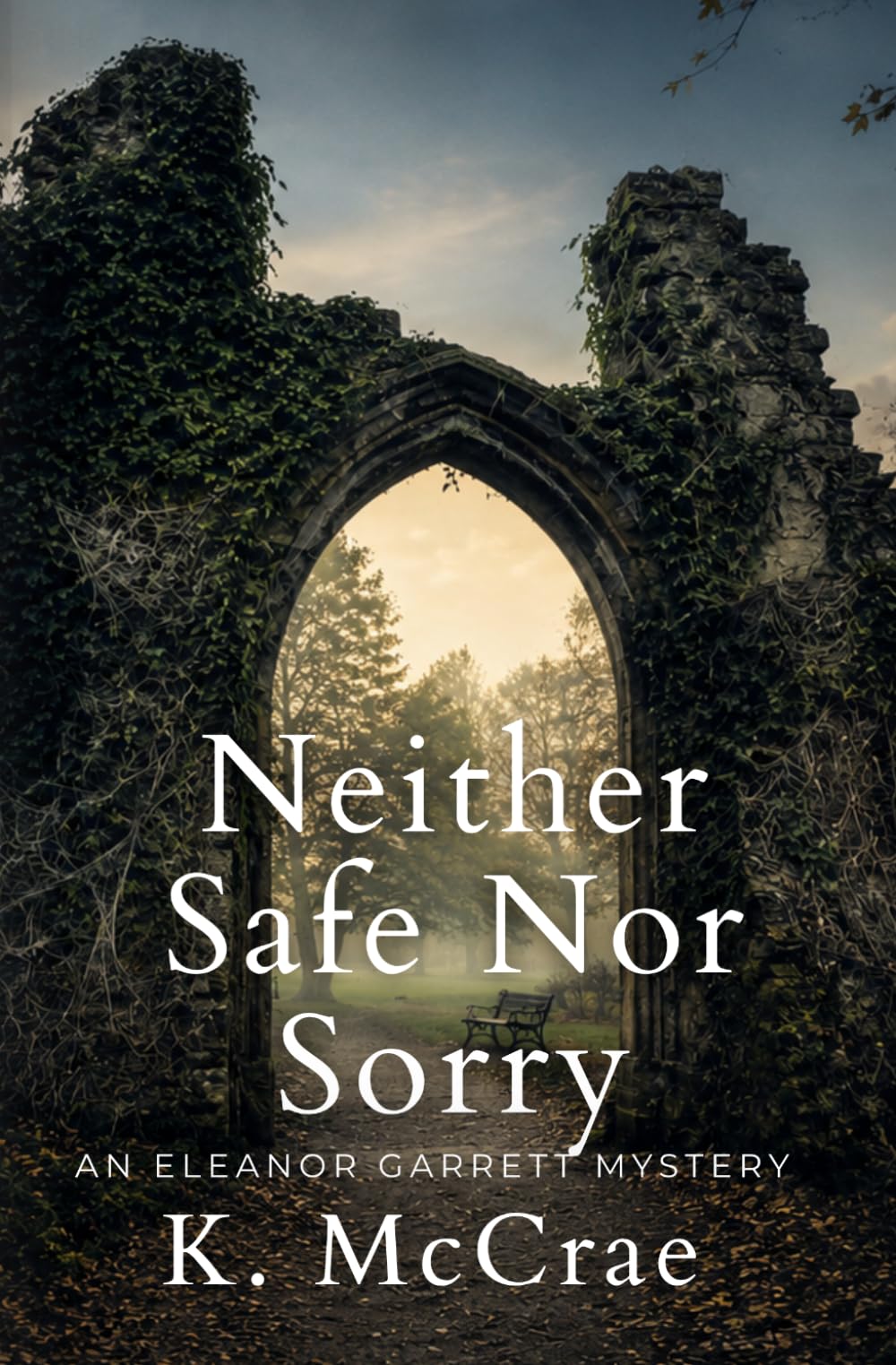 Neither Safe Nor Sorry: 1 (Eleanor Garrett Mystery Series)