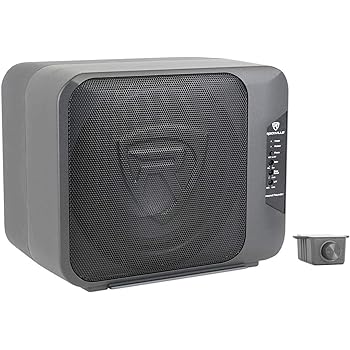 dual 10 powered subwoofer