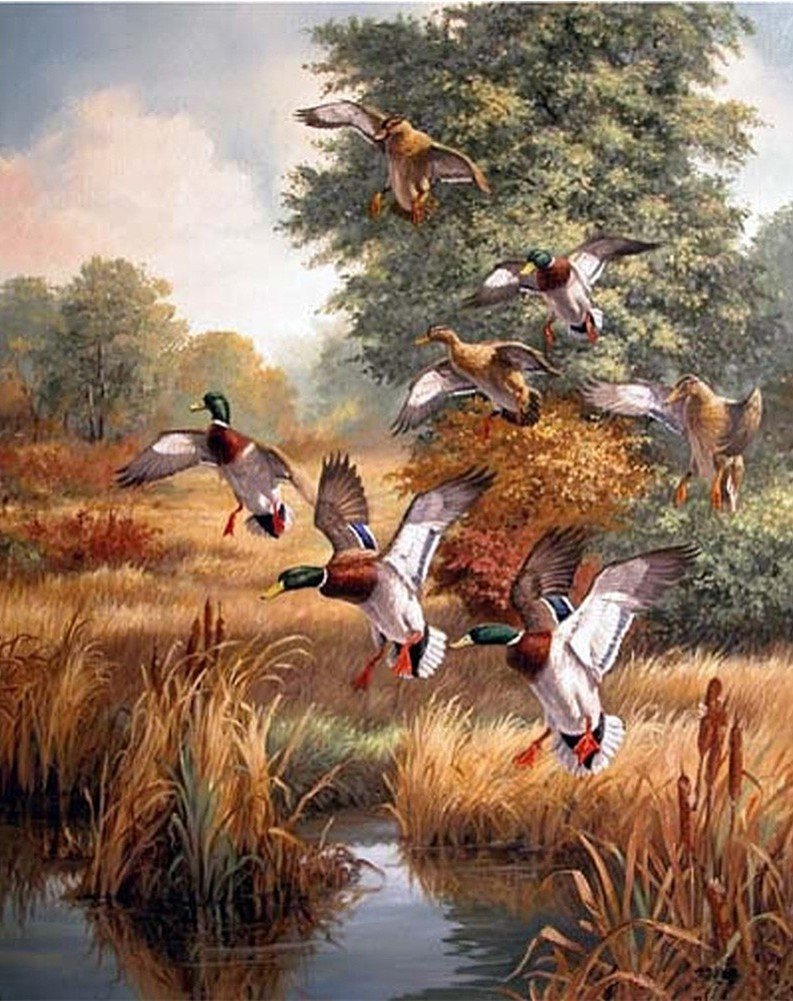 WOWDECOR Paint by Numbers Kits for Adults Kids, Number Painting - Ducks Forest Lake 16x20 inch (Frameless)