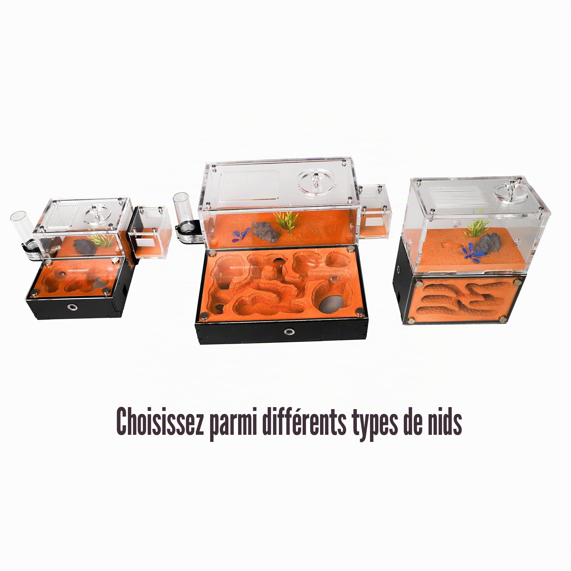 Nid de fourmis pour adultes - Étude du comportement des fourmis - Terrarium éducatif pour fourmis vivantes et reines - 2 étages