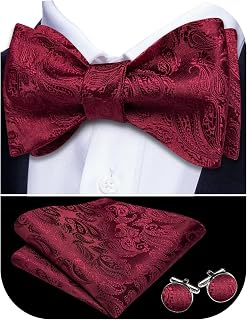 Bow Ties for Men Paisley Self Tie Bowtie Pocket Square Cufflinks Set Classic Woven Formal Wedding Tuxedo Party