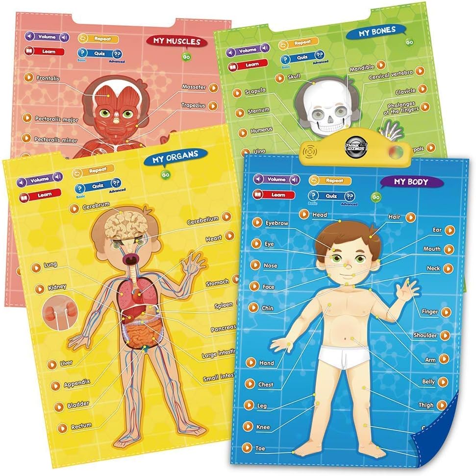 Think GizmosMy Body Interactive Educational Human Anatomy Talking