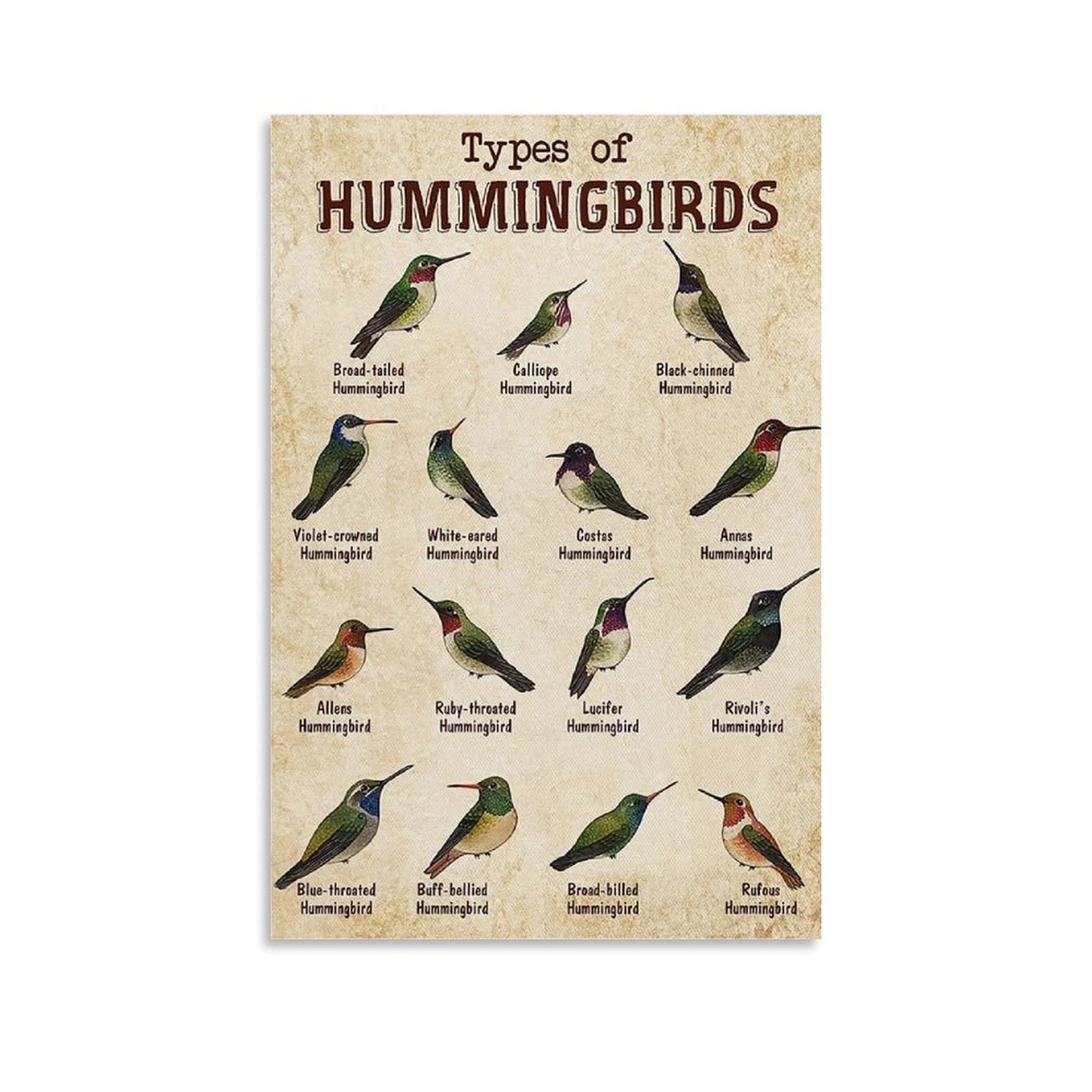 HYBLOM Letrero De Metal Vintage De Tipos De Cebras – Póster Educativo De Lata De Decoración De Club De Granja, Arte De Pared De Aluminio Retro Rústico – Niños, Entusiastas De