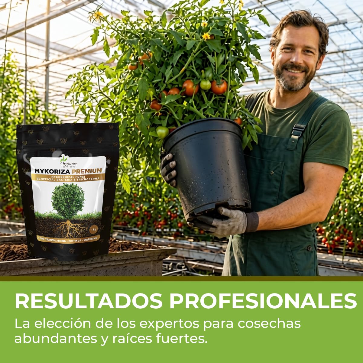 Mykoriza – Polvo Orgánico de Micorrizas con Hongos Endomicorrícicos y Ectomicorrícicos para el Crecimiento de Raíces, Absorción de Nutrientes y Cultivos (1KG)