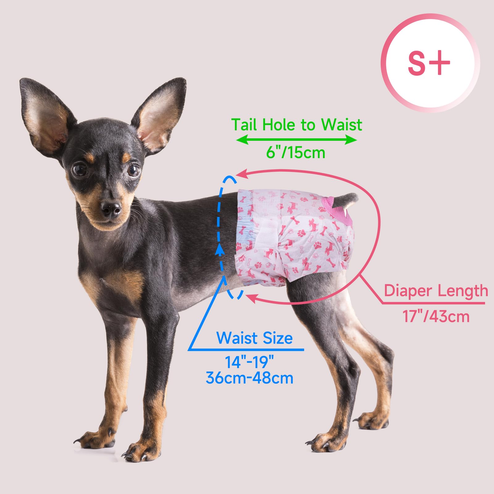 Pet Soft Couche Chien Femelle, Lot de 20 Couches Jetables pour Chien Chat Taille S-M, Super absorbantes Couche Chien Femelle Chaleur (S-M, 20 pièces)