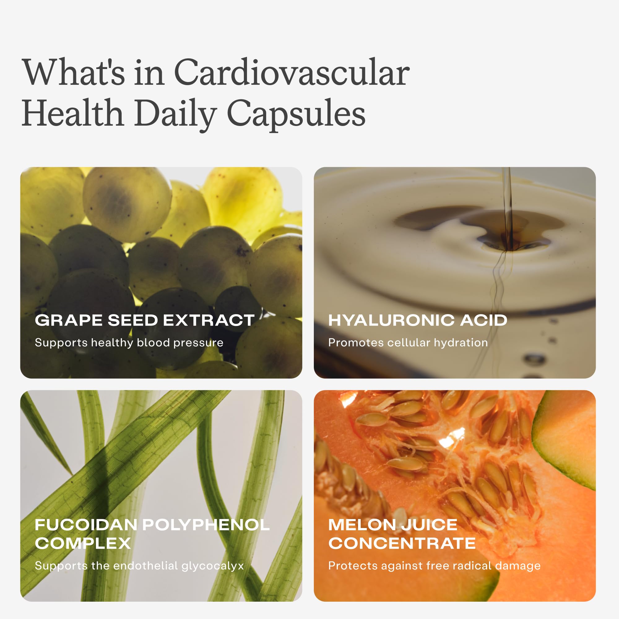 HumanN Cholesterol & Cardiovascular Health Daily Bundle, Cholesterol and Blood Pressure Support Supplements 120ct — Amazon image 6