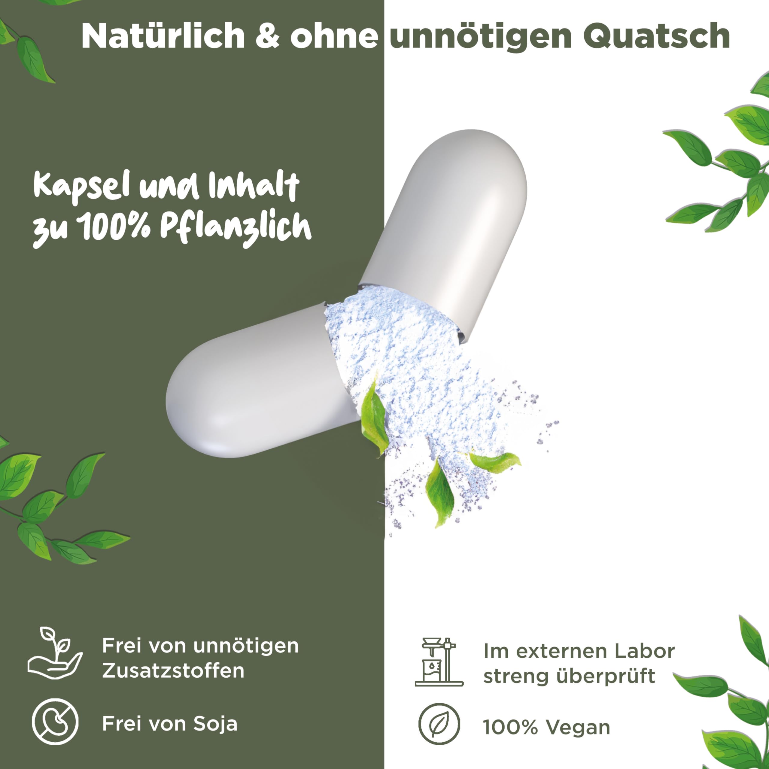 Nattokinase 2000 FU - JAHRESVORRAT - 365 Nattokinase Kapseln je 100mg (20.000 FU/g) - Deutsche Qualitätsmarke - Nattokinase hochdosiert - Natto aus Soja - 100% Vegan - Laborgeprüft - BLATTWERK