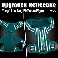 Vista 6 de Barkbay - Arnés para perro sin tirones, clip frontal, resistente, reflectante, asa para control fácil y bolsillo para identificación, para pasear
