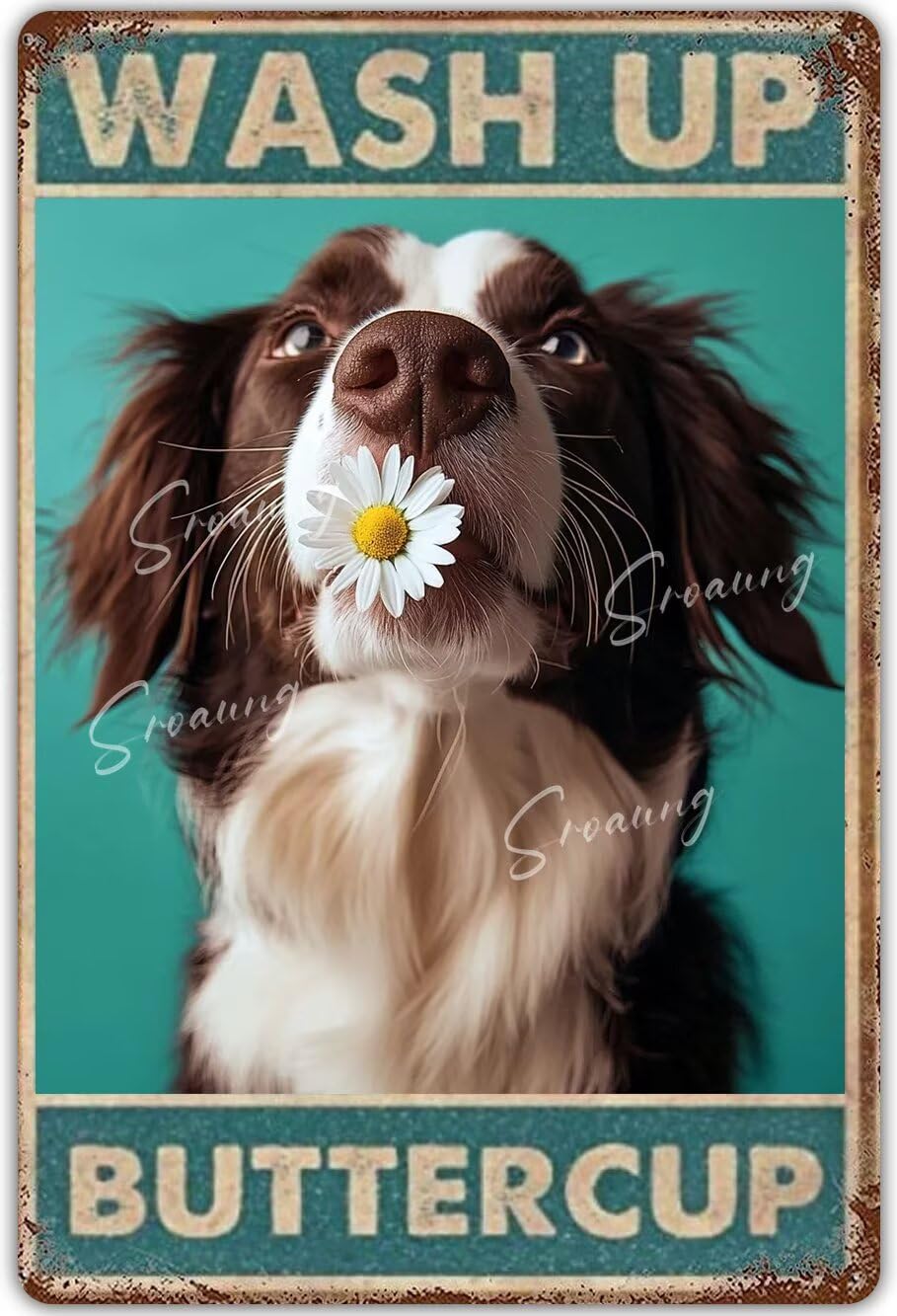 Anceky Springer Dog Bathroom Metal Plaque Poster Wash Up Buttercup Funny Bathroom Decor Dog Lovers Retro Metal Tin Sign Plaque Vintage Bathroom Wall Decor For Farm Bedroom Cafe 12x16 Inch