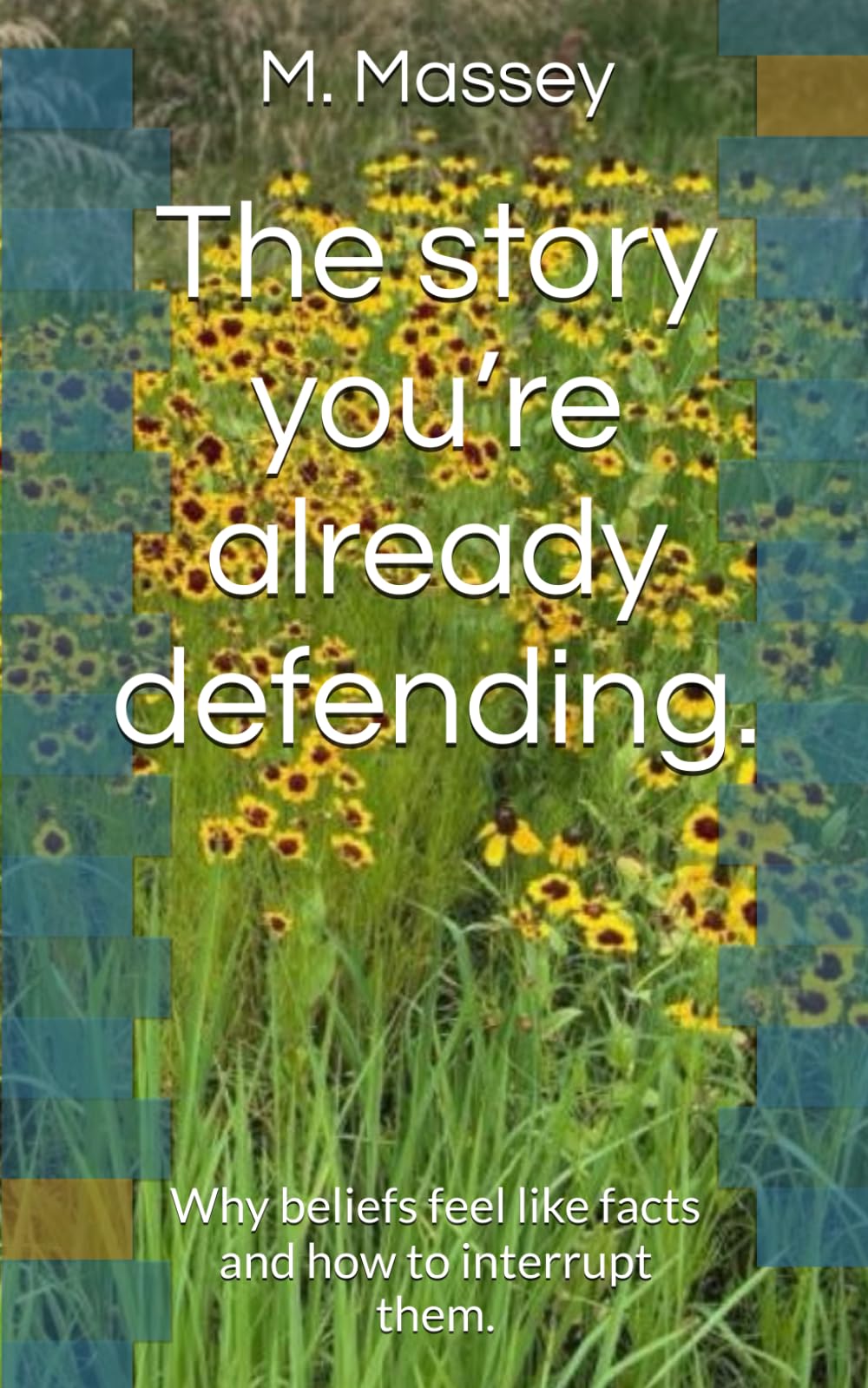 The story you’re already defending.: Why beliefs feel like facts and how to interrupt them. (The interruption series)