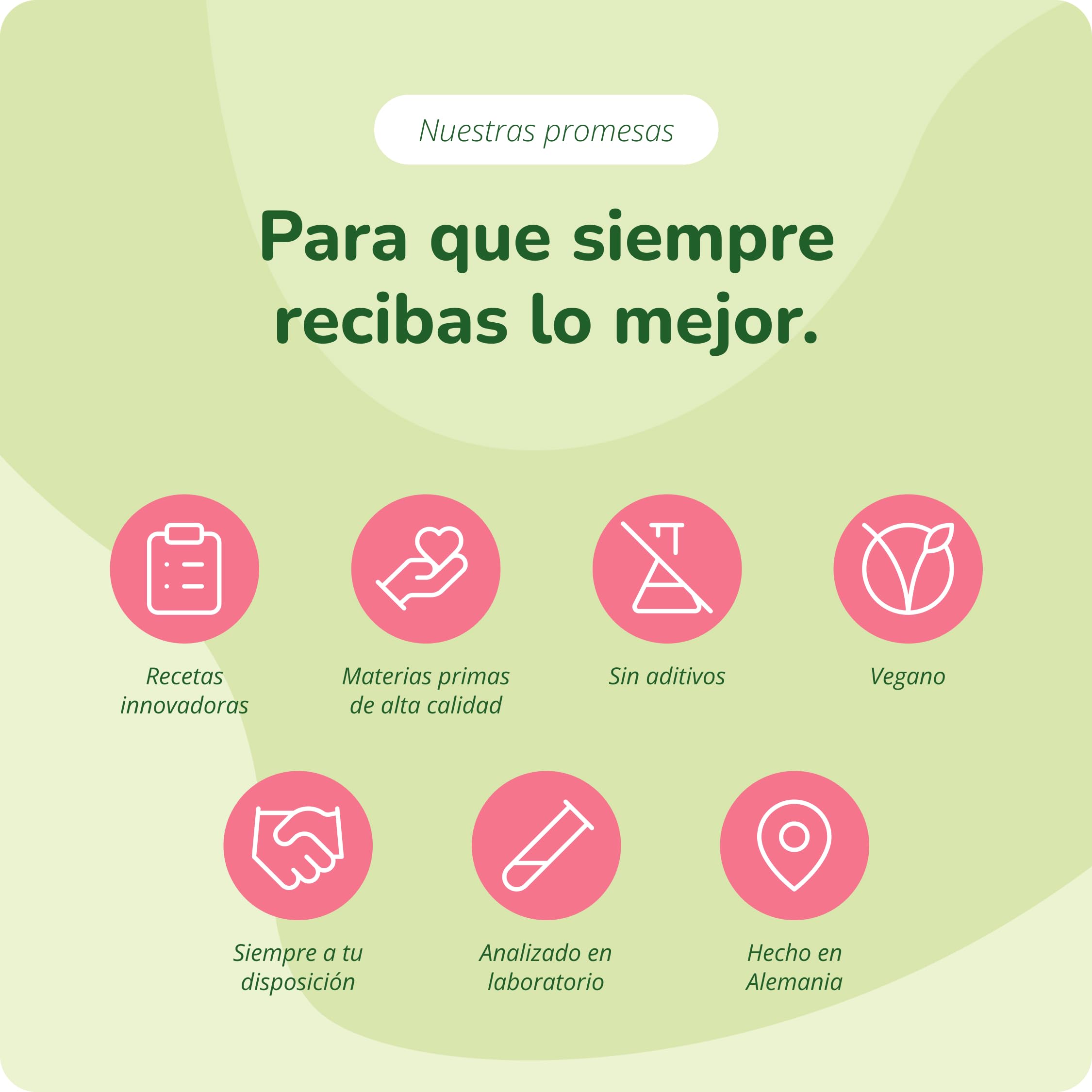 Silicio Organico Vegavero | 300 mg | 100% Natural & BIO - Derivado del Extracto de Bambú | Sin aditivos & Vegano | Esencial Para Huesos, Articulaciones y Músculos | 120 Cápsulas